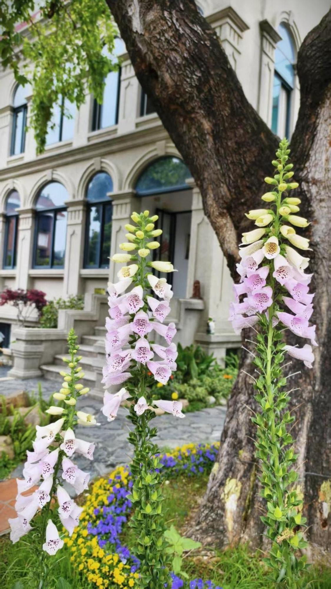 Xiamen Gulangyu Heitan Hotel Экстерьер фото